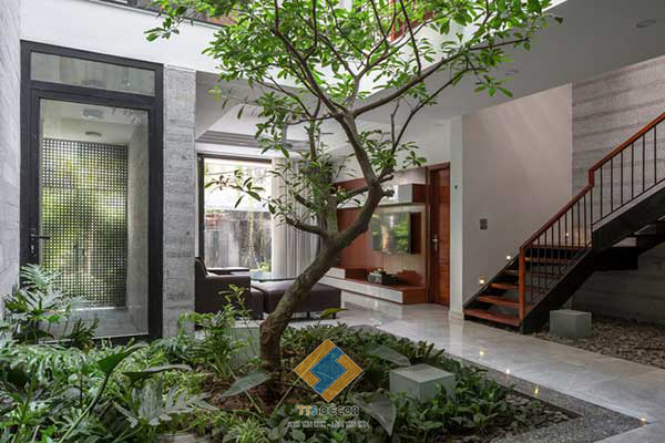 Sự Tinh Tế và Đẳng Cấp trong Thiết Kế Biệt Thự Vườn Hòa Bình| TT-S Décor