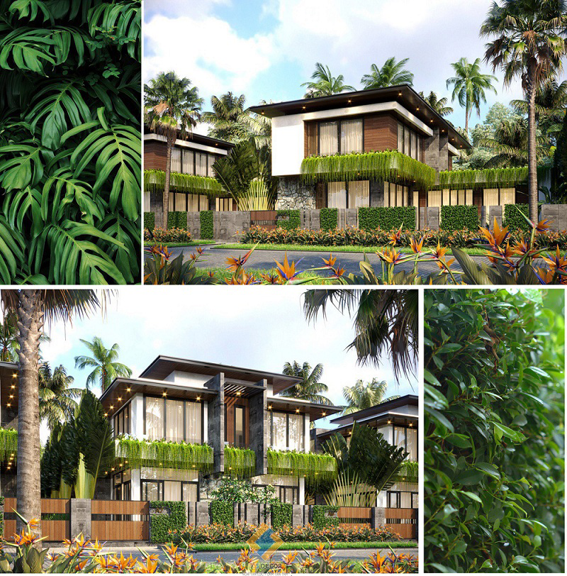 Biệt Thự Tropical Hòa Bình: Nét Đẹp Độc Đáo Tại Vùng Đất Hòa Bình