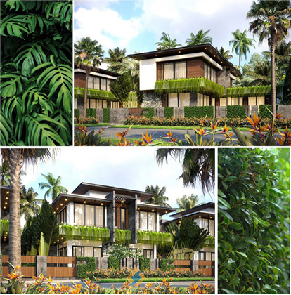 Biệt Thự Tropical Hòa Bình: Nét Đẹp Độc Đáo Tại Vùng Đất Hòa Bình