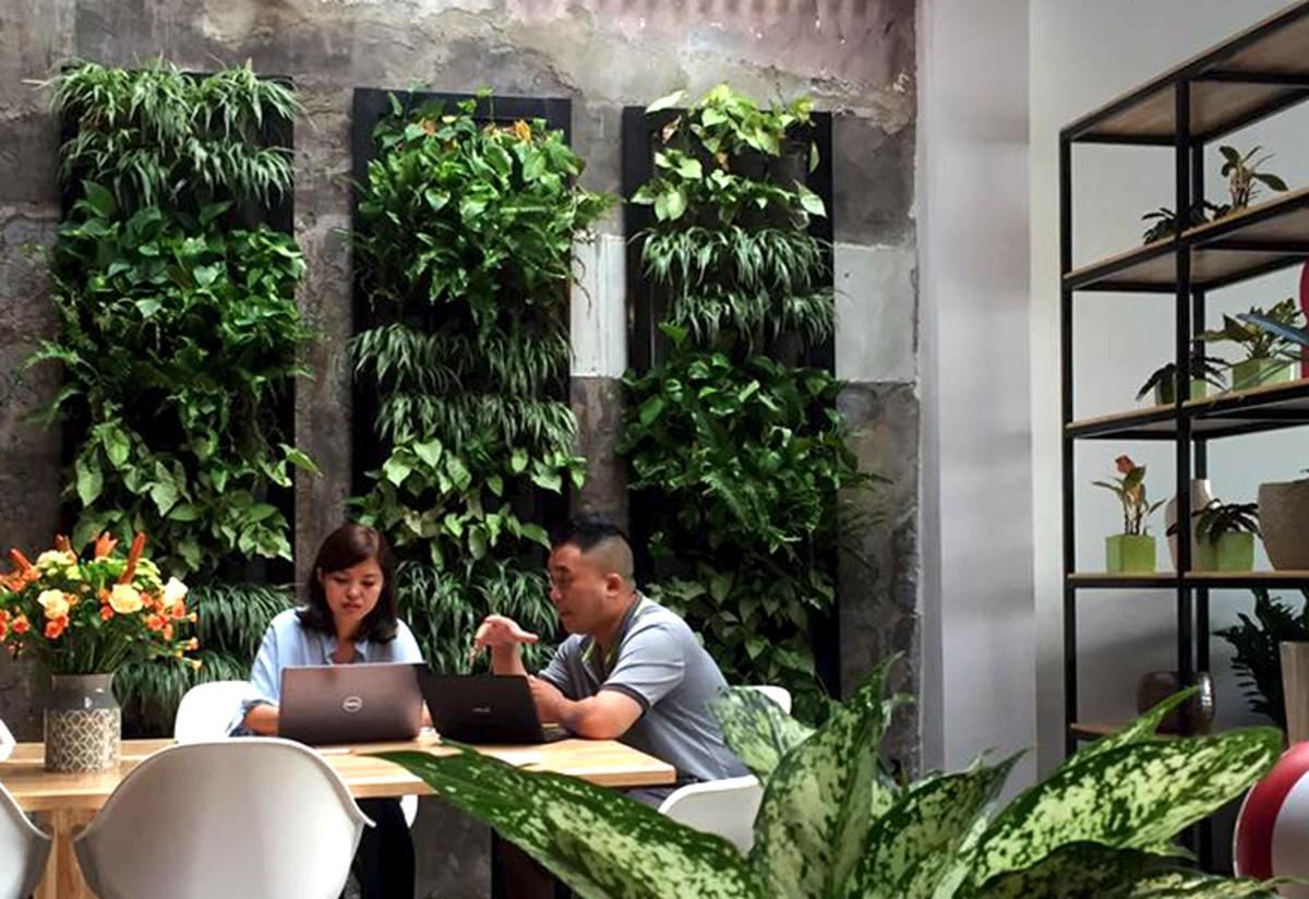 Không khó để tự xây dựng cho mình căn hộ xanh