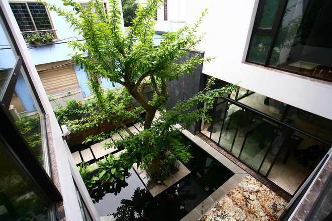 Những ý tưởng đơn giản không gian xanh cho nhà phố ngập tràn sức sống