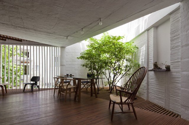 Những ý tưởng đơn giản không gian xanh cho nhà phố ngập tràn sức sống