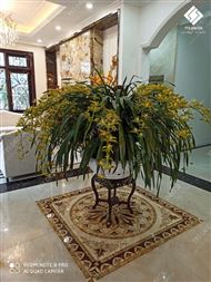 z1961172750455_bd19f0539a538e5bdc31564695b56725_result