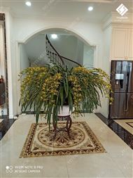 z1961172753565_c866ebba921a8b071380697e803eca6d_result